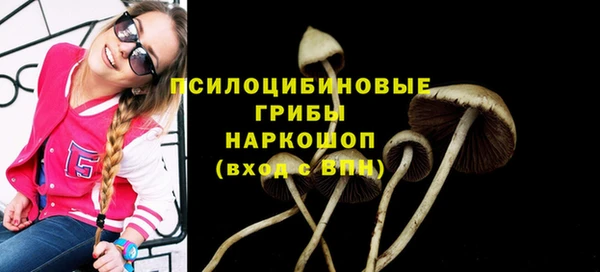 ГАЛЛЮЦИНОГЕННЫЕ ГРИБЫ Красноперекопск