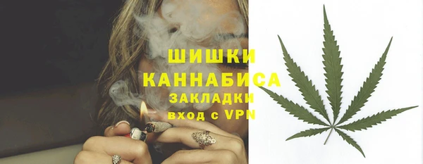 дмт Краснослободск