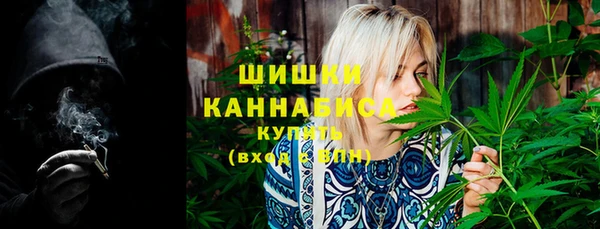 дмт Краснослободск