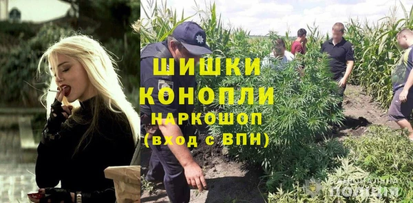 дмт Краснослободск