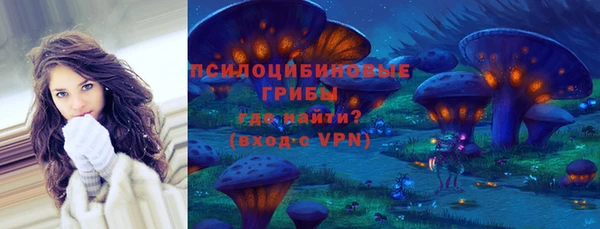 дмт Краснослободск
