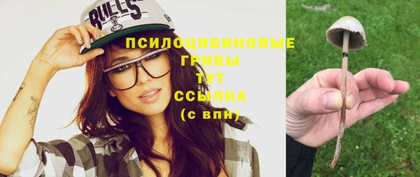 хмурый Козельск