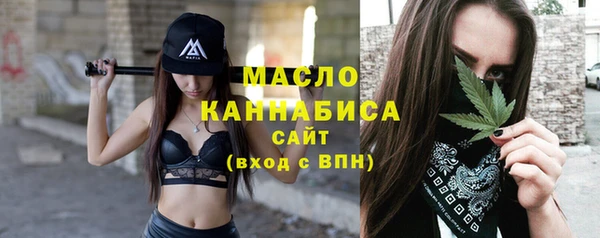 дмт Краснослободск